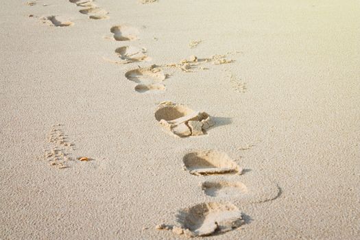 Footprints in the sand. 