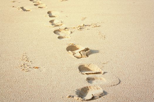 Footprints in the sand. 