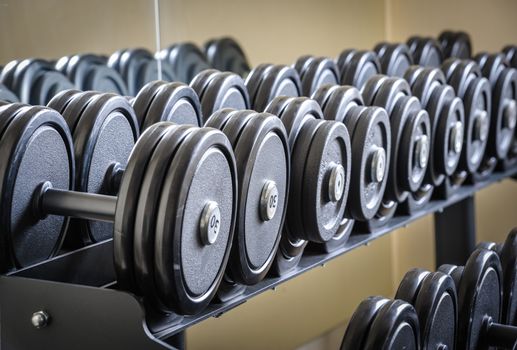 Row of barbells or dumbbells in the gym