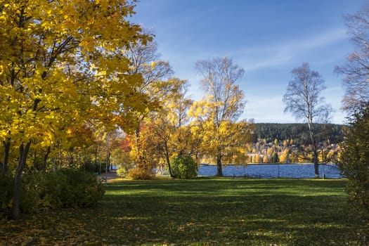 Beautiful leandscape of colorful autumn trees by the lake