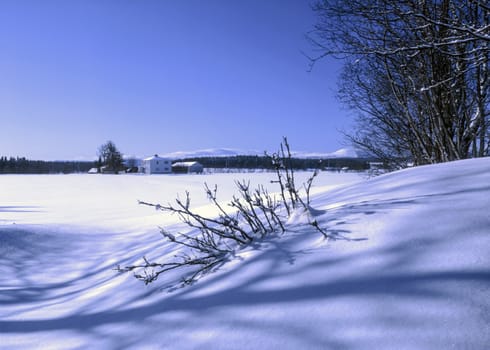 Beautiful landscape of winter forest