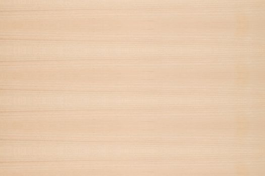 Texture of wood background closeup 