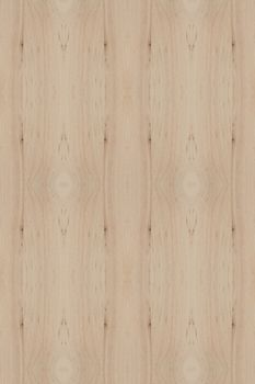 Texture of wood background closeup