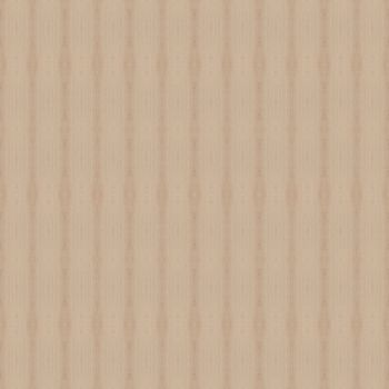 Texture of wood background closeup