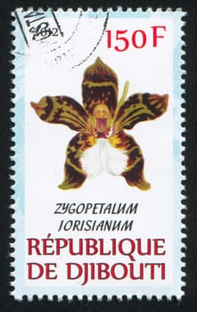 DJIBOUTI - CIRCA 2012: stamp printed by Djibouti, shows flower, circa 2012