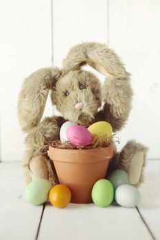 Adorable Easter Bunny Themed Holiday Occasion Image