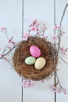 Spring Easter Holiday Themed Still Life Scene in Natural Light