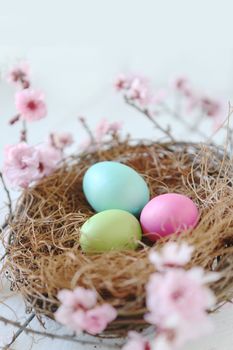 Spring Easter Holiday Themed Still Life Scene in Natural Light