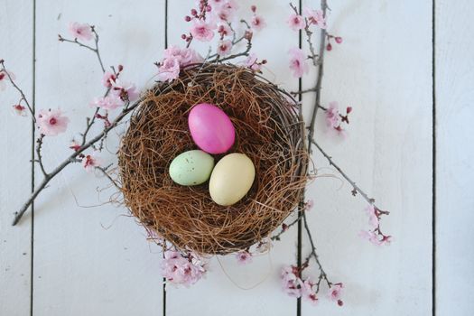 Spring Easter Holiday Themed Still Life Scene in Natural Light