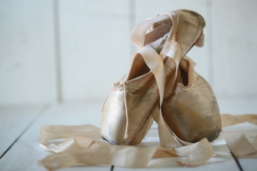 Romantic Posed Pointe Shoes in Natural Light 