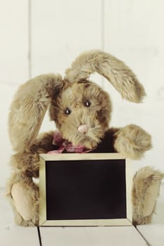 Adorable Teddy Bear Like Home Made Bunny Rabbit on Wooden White Background