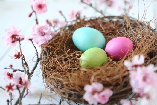 Spring Easter Holiday Themed Still Life Scene in Natural Light