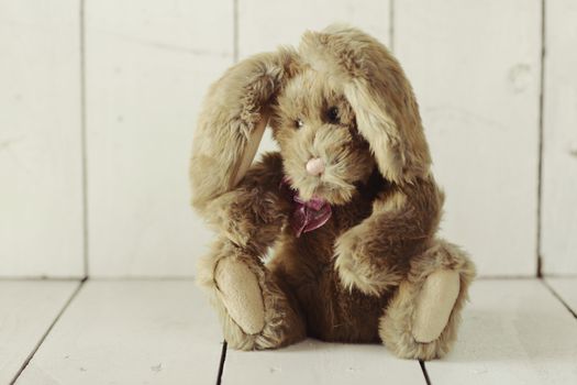 Adorable Teddy Bear Like Home Made Bunny Rabbit on Wooden White Background