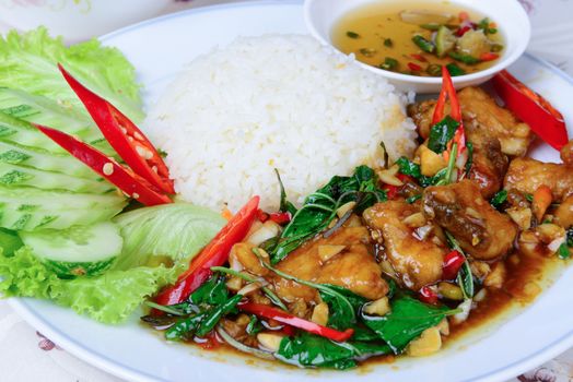 Thai food name Fried basil leave with snapper fish on rice