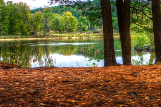 HDR landscape of a forest and pond in soft focus