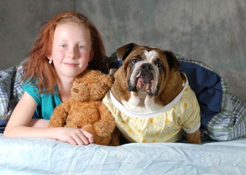 pets in bed - girl with her dog in bed - english bulldog
