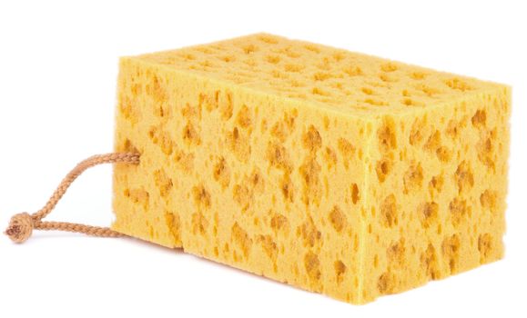 Big Yellow Porous Sponge isolated on white background