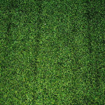 Green grass background