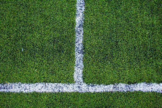 green natural grass of a Football soccer field