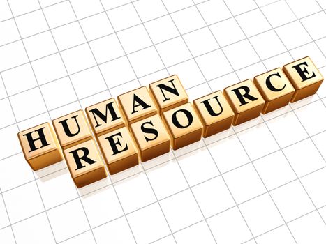 Human resource 3d golden boxes with text