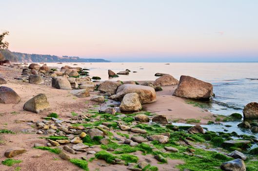 Large boulders with seaweed on the beach at low tide