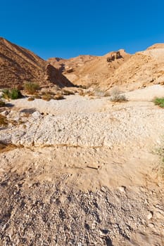Dry Riverbed in the Negev Desert