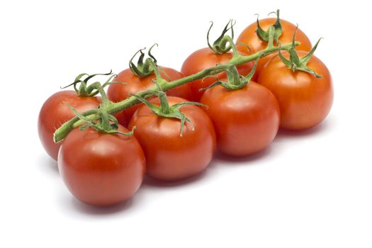 Eight cherry tomatoes on a white background.
Still attatched to the green twig