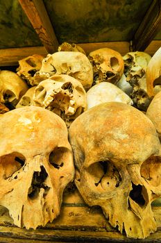 Skulls from the Killing Fields in Cambodia, this happened from around 1975 till 1979. Asia