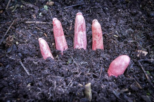 hand of murdered woman buried under the ground