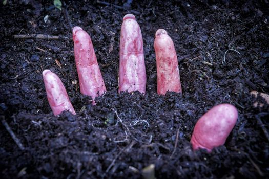 hand of murdered woman buried under the ground