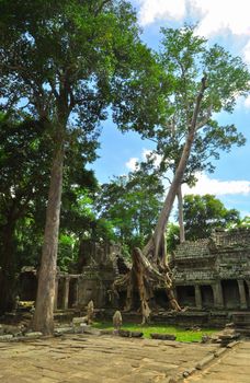 Ancient buddhist khmer temple in Angkor Wat complex, Siem Reap Cambodia Asia