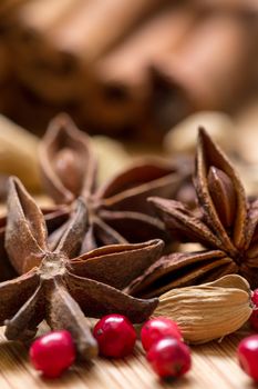 Dry multicolored spice closeup on wooden background