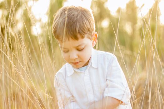 Happy cute kid in a field playing with natural spikes at summer sunset. Soft colors edition.