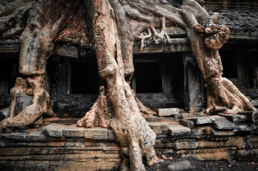 Ancient buddhist khmer temple in Angkor Wat complex, Siem Reap Cambodia Asia