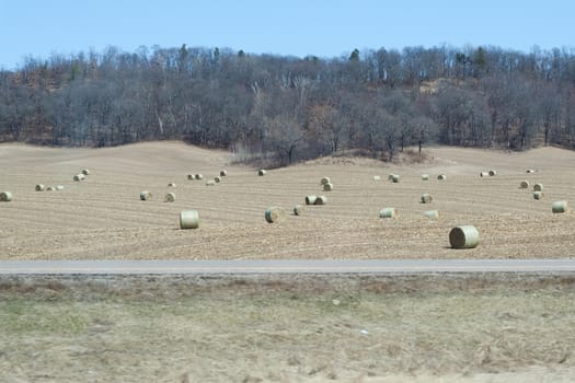 Hay spread out in a large field 