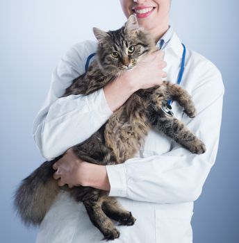 Female veterinary holding a long hair cat.