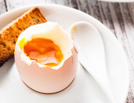 The soft-boiled egg in an eggcup with toasted bread