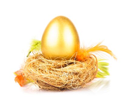 One golden eggs in the nest isolated on white