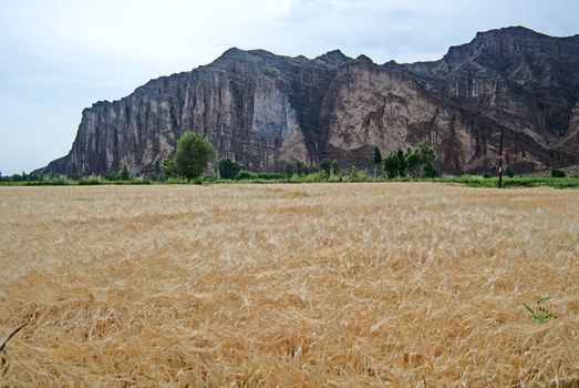 Photographed in silver, Gansu Province, China