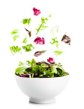 Falling salad with green leaves in a bowl on the white