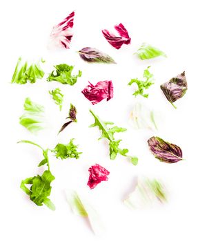 Heap of green healthy leaves salad on white