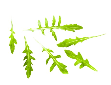 Fresh green arugula heap isolated on white