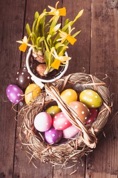 Colorful polka dot eggs in basket and daffodil flowers