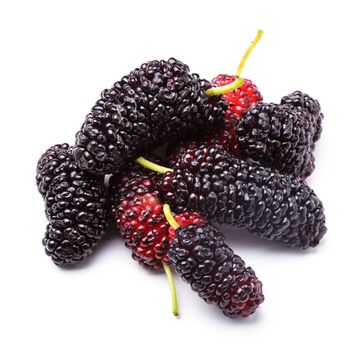 Mulberry berries close up on white background