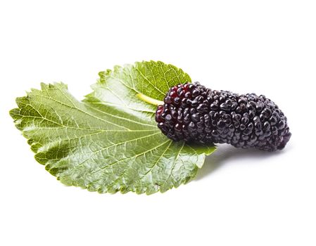 Mulberry berry with green leaf on white background