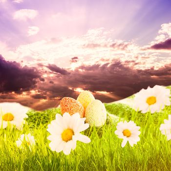 Easter eggs on meadow with daisies and sky