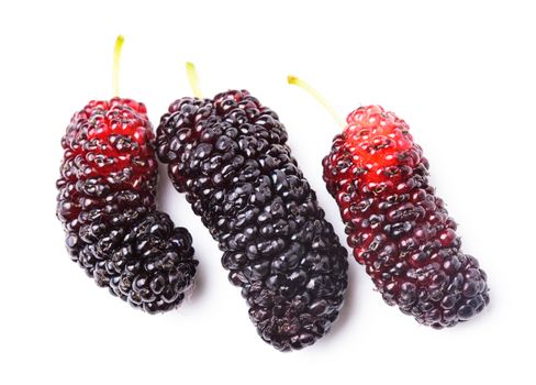 Mulberry berries close up on white background