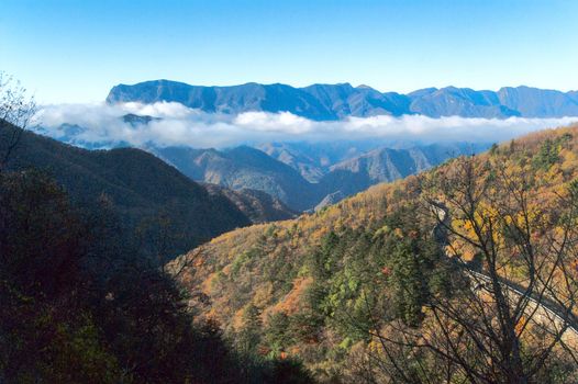 Shennongjia beauty - was taken in Hubei, China







SONY DSC