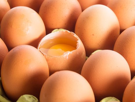 A raw egg in the shell in the cardboard shelf