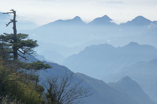 Shennongjia beauty - was taken in Hubei, China